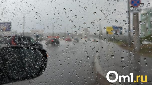 В Омске обещают град и ухудшение погоды в конце апреля