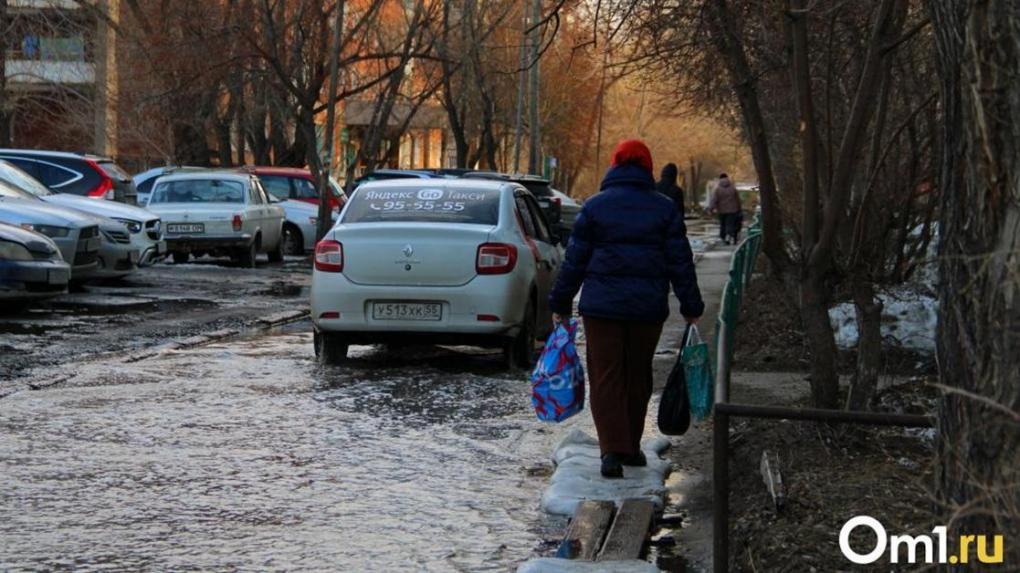 Городские службы начали готовить Омск к лету