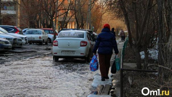 Городские службы начали готовить Омск к лету