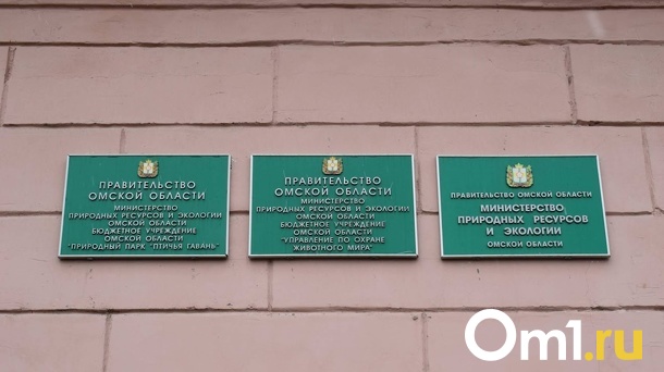 Омская природоохранная прокуратура обвинила Минприроды в незаконных штрафах для предпринимателей
