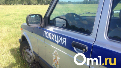 В Омской области в погребе нашли связанную пенсионерку, находившуюся там неделю
