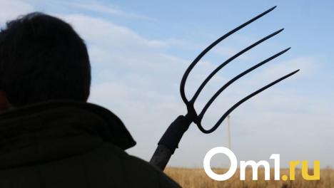 Омич хотел заступиться за свою возлюбленную и ударил знакомого вилами в грудь
