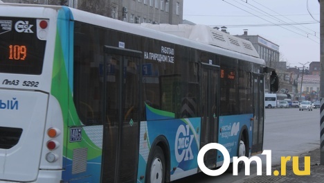 Казаки смогут штрафовать омичей за проезд по «выделенкам»