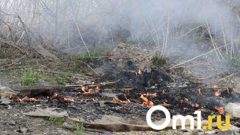 В Омске загорелась трава, огонь подбирается к домам на 3-й Любинской