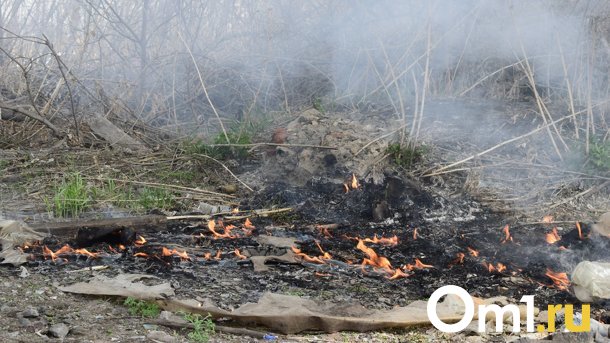 В Омске загорелась трава, огонь подбирается к домам на 3-й Любинской