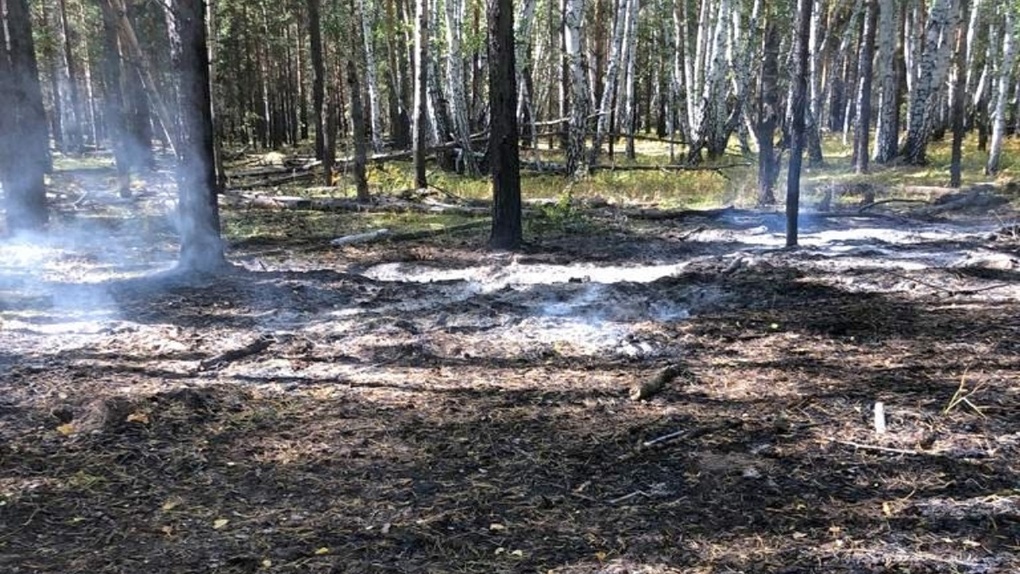 В Омской области за минувшие выходные удалось локализовать два лесных пожара