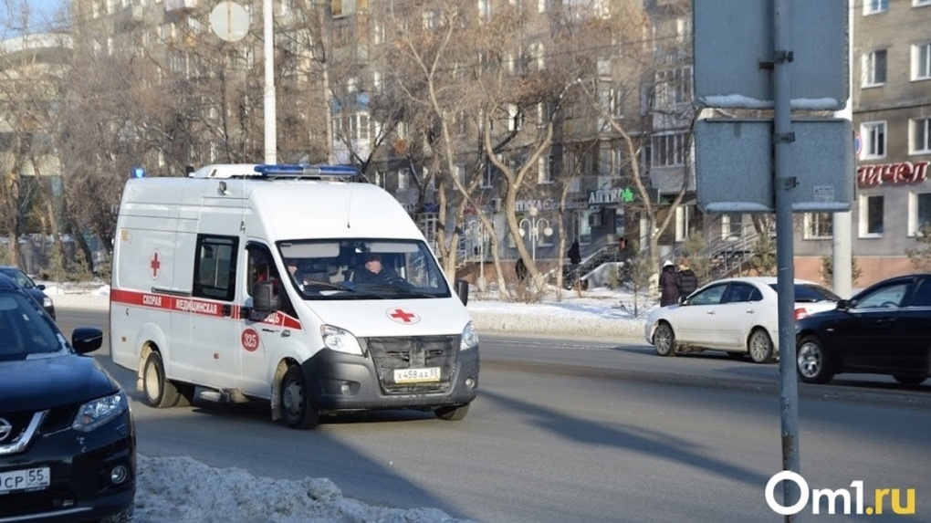 В Омской области на трассе перевернулась легковушка с 5-летней девочкой внутри