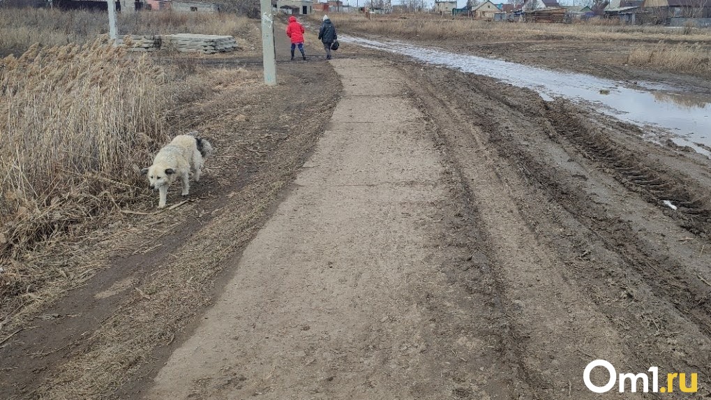 Взорвали дорогу: омская деревня уже полторы недели живёт без асфальта