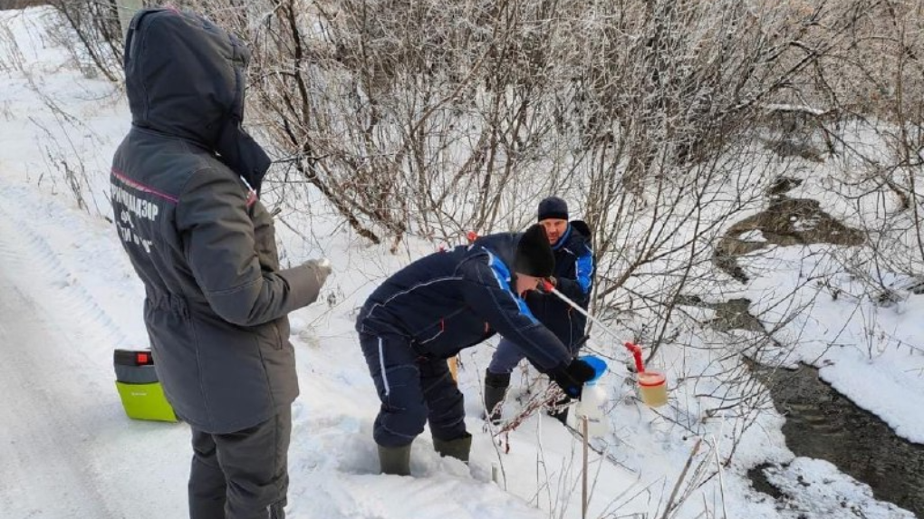 Новосибирскую психбольницу обвинили в сливе канализационных стоков в реку Нарниста
