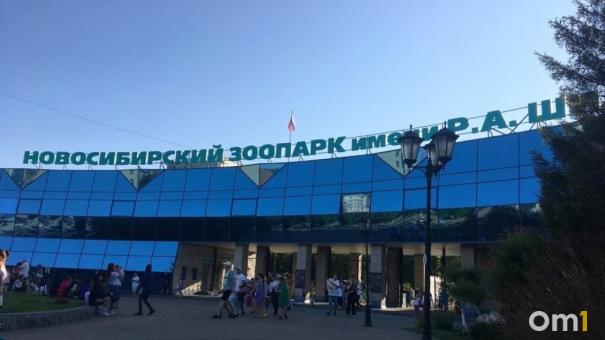 Прокуратура внесла мэру представление за платную парковку у Новосибирского зоопарка