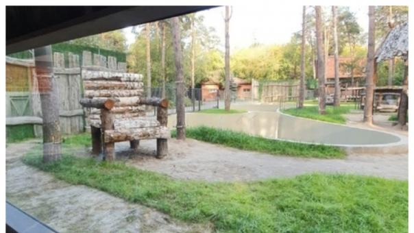 Медведей в зоопарке Новосибирска не переселяют в новые вольеры