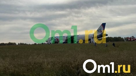 Аварийная посадка рейса Сочи – Омск. Что известно на данный момент?
