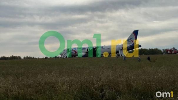 Аварийная посадка рейса Сочи – Омск. Что известно на данный момент?
