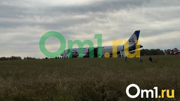 Аварийная посадка рейса Сочи – Омск. Что известно на данный момент?