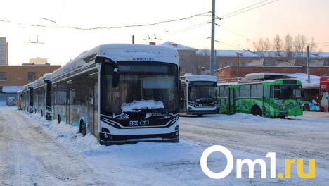 На Левобережье Омска после ремонта дорог запустят новые троллейбусы