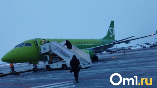 Летевший из Новосибирска самолёт S7 повредил фюзеляж