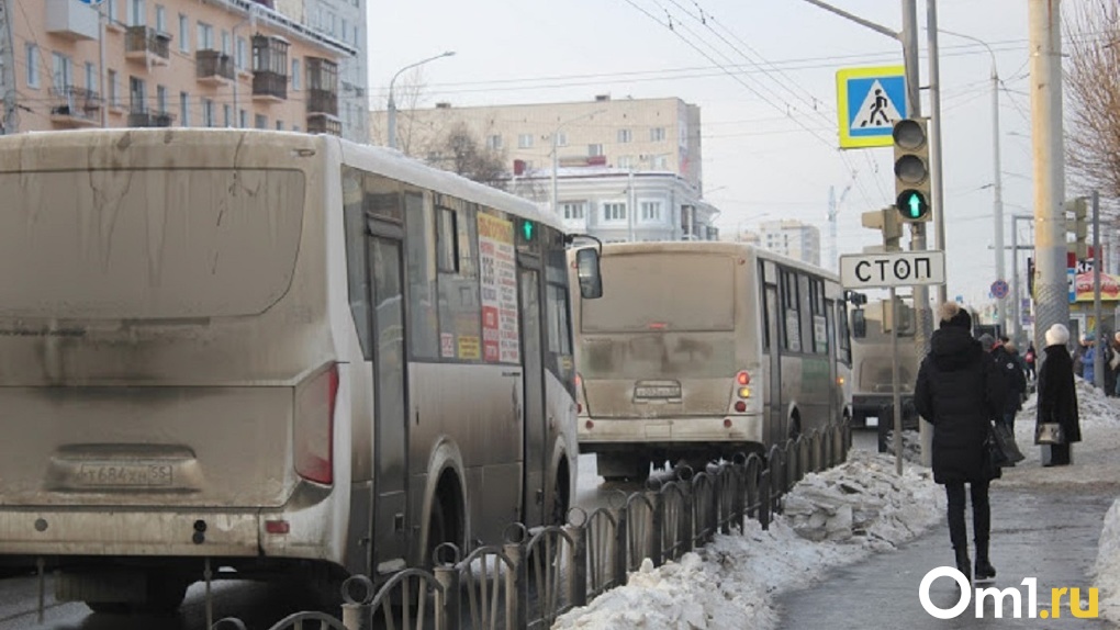 Омским перевозчикам выделят 100 млн рублей на компенсацию недополученных доходов