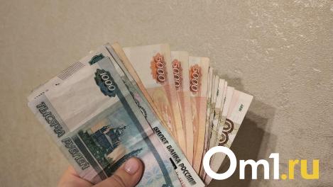 От туризма до «Казачьего этнопарка»: как в районах Омской области хотят привлечь инвесторов