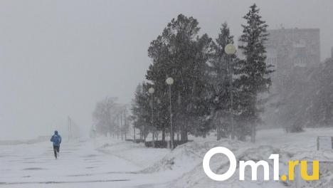 Метель и сильный ветер: в Омскую область придёт непогода