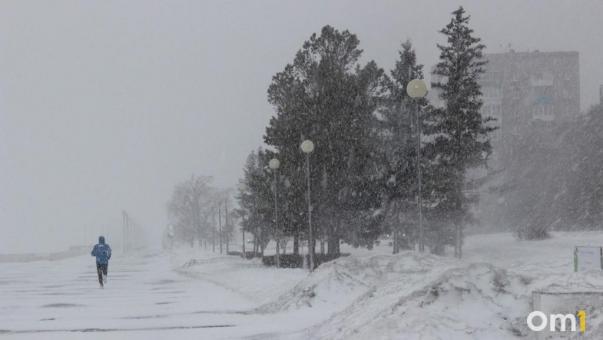 Метель и сильный ветер: в Омскую область придёт непогода