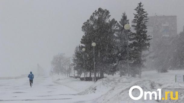 Метель и сильный ветер: в Омскую область придёт непогода