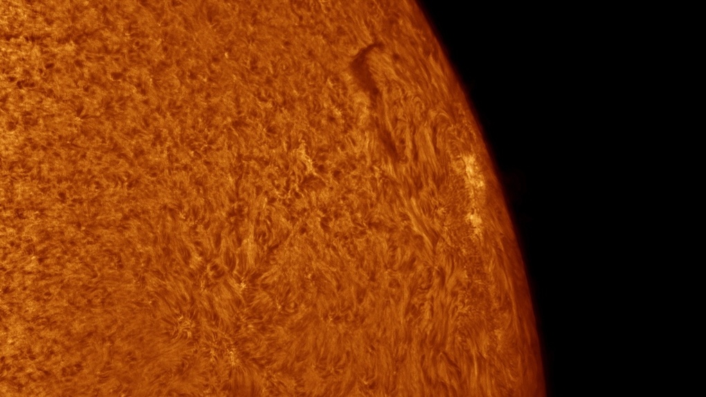 Фонтаны раскалённого газа: новосибирский астрофотограф сделал завораживающие снимки поверхности Солнца