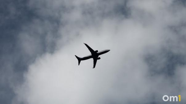 Дебошира сняли с рейса «Петропавловск-Камчатский — Новосибирск»