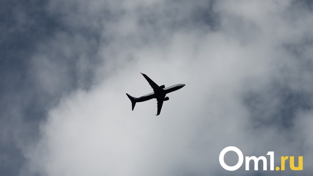 Дебошира сняли с рейса «Петропавловск-Камчатский — Новосибирск»