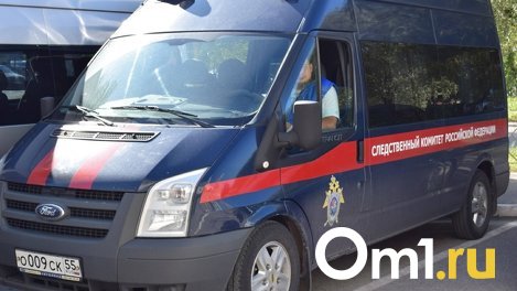 СКР расследует смерть подростка от удара молнии под Новосибирском