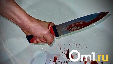 Житель Кемеровской области пойдёт под суд из-за попытки зарезать новосибирца