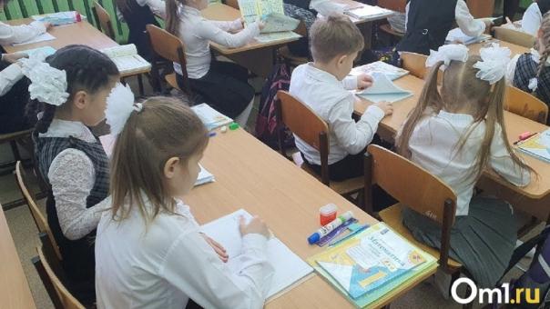 Школы с наибольшим числом мигрантов назвали в Новосибирске