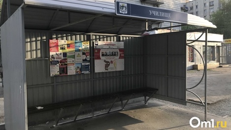 Нет туалетов и покрытия: четверть конечных остановок пришли в негодность в Новосибирской области