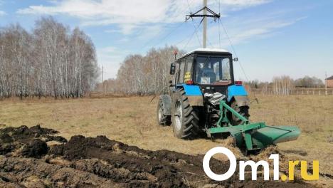 В Омске области выделили три миллиона рублей на защиту от пожаров