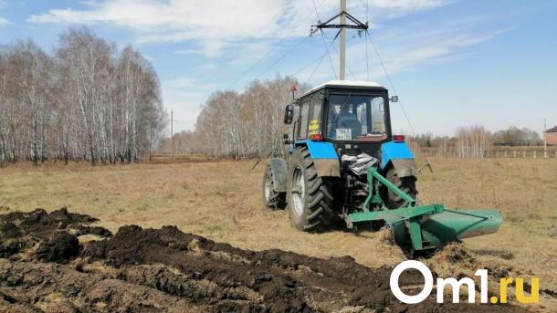 В Омске области выделили три миллиона рублей на защиту от пожаров