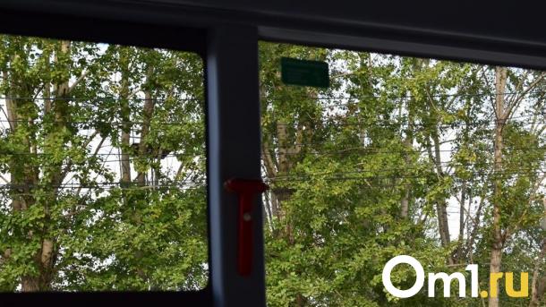 В Омске изменят схему движения популярного маршрута для садоводов