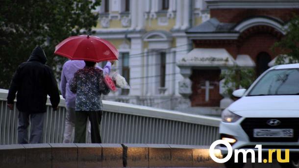 К Омску приближается мощный грозовой фронт