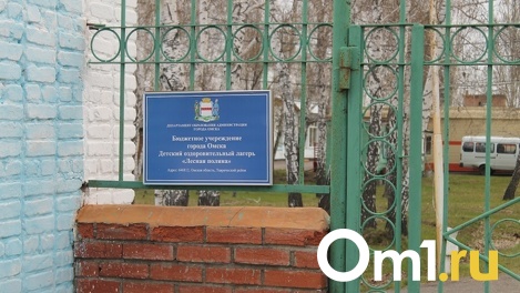 В загородных лагерях Омской области остались места. В мэрии назвали цены
