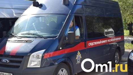 Следком начал проверку из-за падения омички с аттракциона «Вихрь» в парке 30-летия ВЛКСМ