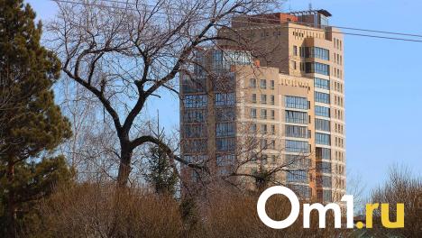 Омским застройщикам напомнили о важности архитектурного облика