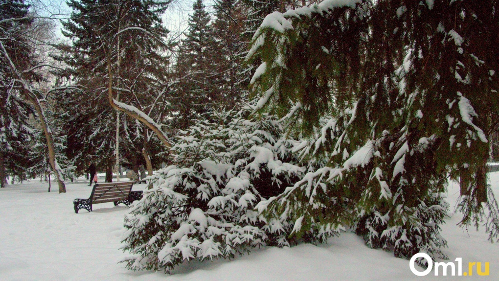 Мороз до -30 градусов придёт в Новосибирск на новогодних каникулах