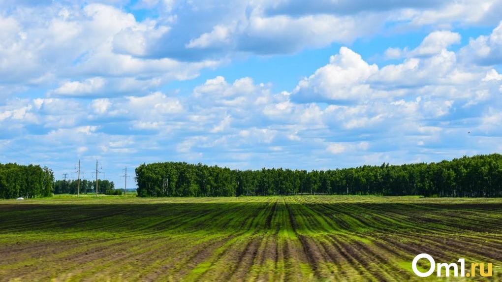 Губернатор Хоценко: омские аграрии на 100% завершили обработку почвы