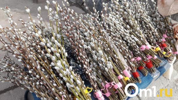 «Сижу без еды и воды»: трудности продавцов вербы в Новосибирске