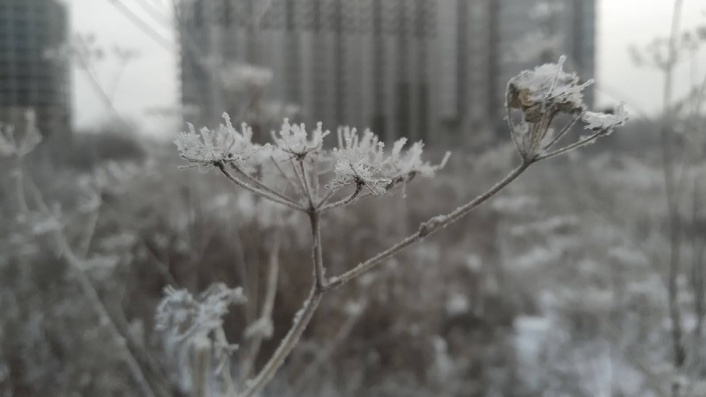 Розы Морозы Омск. Заледеневшая корка на снегу после короткой оттепели