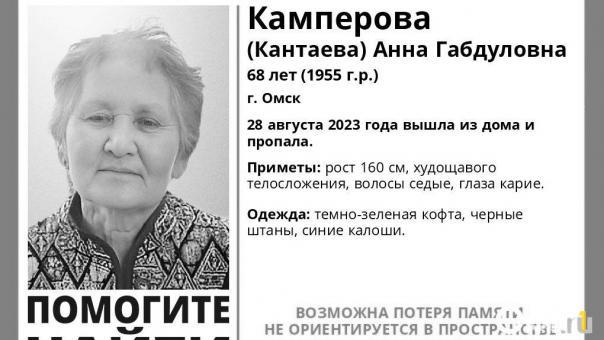 Пожилую омичку, которая пропала в конце лета, нашли мёртвой