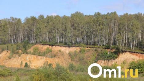 Омичам опять запретили посещать леса и жечь костры