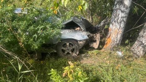 Nissan Pulsar «вылетел» в кювет и врезался в дерево: смертельное ДТП под Новосибирском