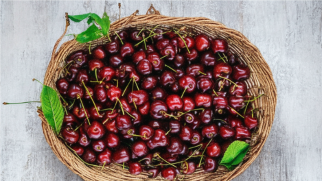 В Омской области поспела дикая вишня. Где её искать?