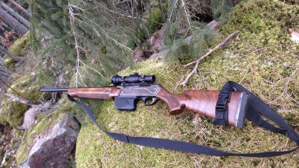 В Омской области браконьер застрелил беременную лосиху