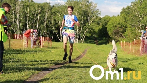 Омск примет участие во всероссийском Весеннем полумарафоне