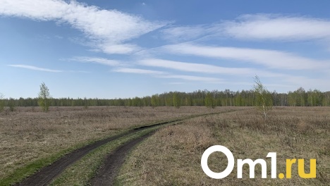 Омские фермеры получат миллионы на привлечение агротуристов